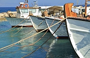 Bild 15