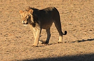 Bild 12